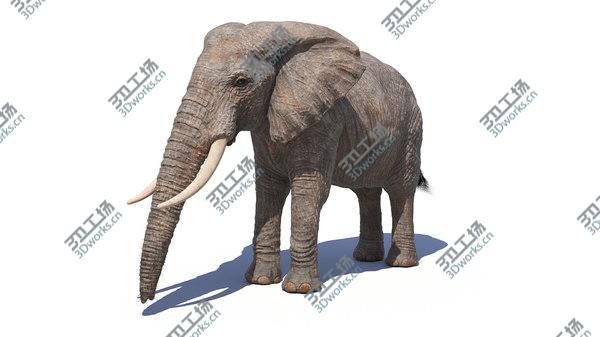 images/goods_img/20210312/Elephant Skin And Skeleton 3D/3.jpg